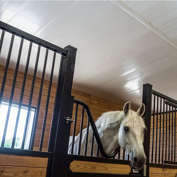 Trusscore Wall&CeilingBoard White installed in an Agricultural Horse Stable