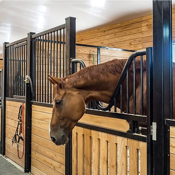 Trusscore Wall&CeilingBoard White installed in an Agricultural Horse Stable