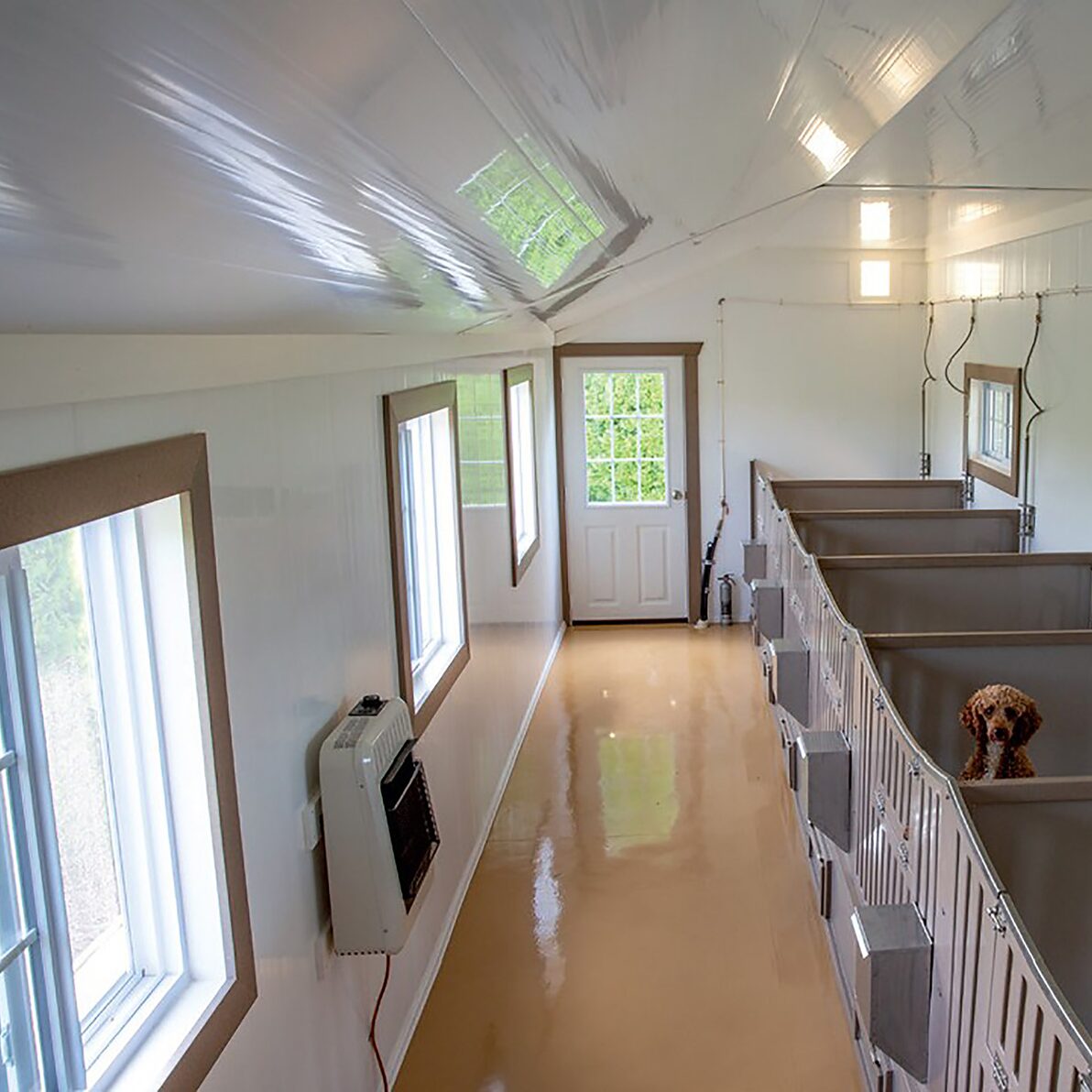 Trusscore Wall&CeilingBoard in Commercial Dog Kennel