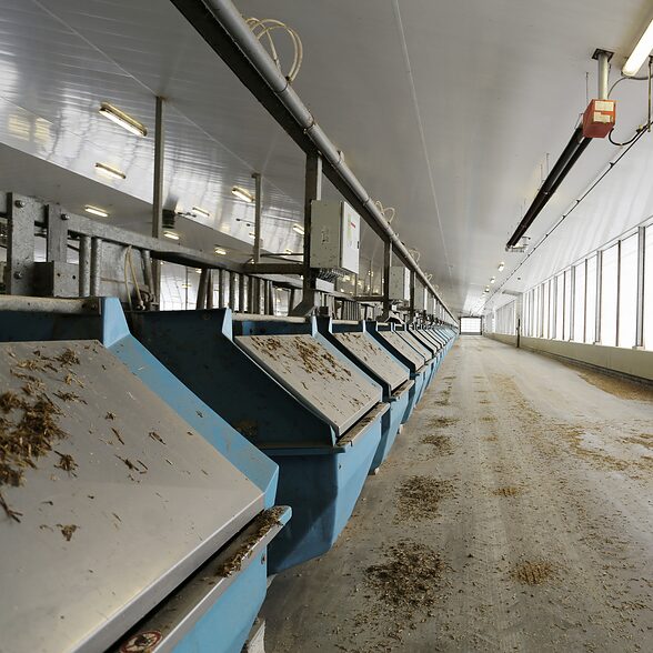 Trusscore wall&ceilingboard white installed in an agricultural dairy facility