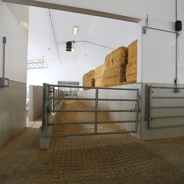Trusscore wall&ceilingboard white installed in an agricultural dairy facility