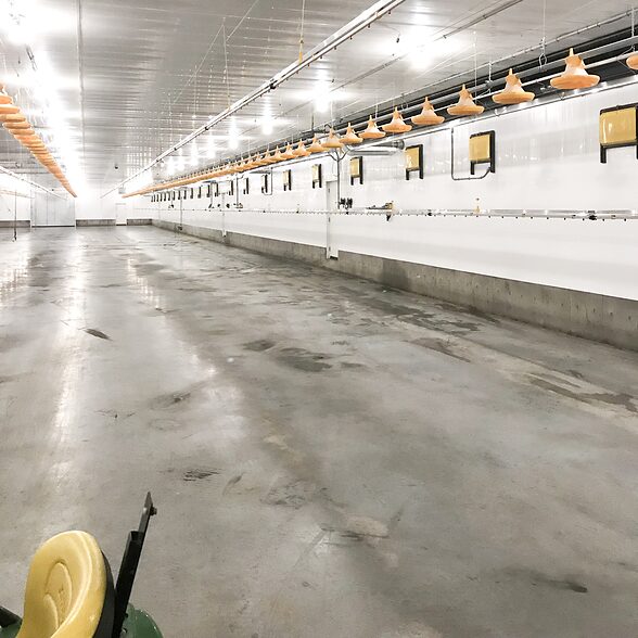 Trusscore wall&ceilingboard white installed in agricultural poultry facility