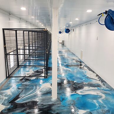 Trusscore Wall&CeilingBoard in Commercial Dog Kennel