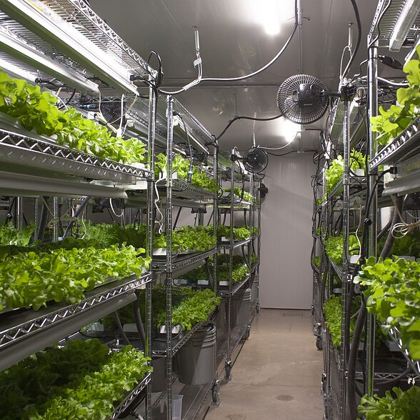 Trusscore wall&ceilingboard gray in commercial indoor growing facility