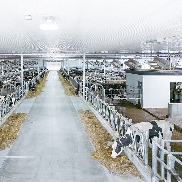Trusscore Wall&CeilingBoard and RibCore by Trusscore in Dairy Facility