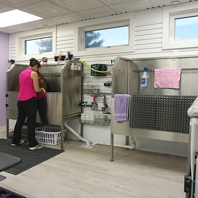 Trusscore SlatWall in Private Dog Groomer Salon