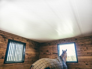Horse Stable Renovation - Ceiling PVC Panels.jpg