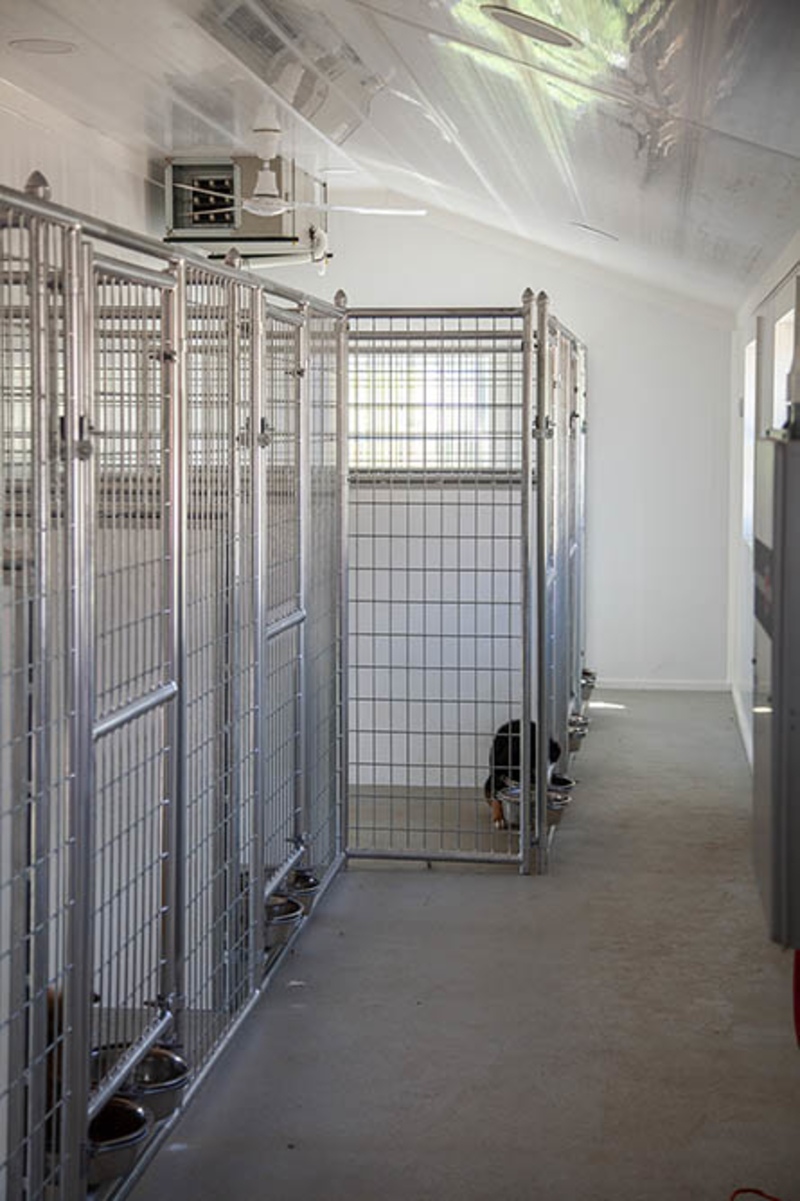 Trusscore Dog Kennel Walls & Partitions 