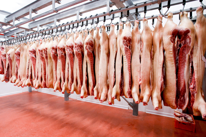 Hog and Pork Harvesting and Processing 