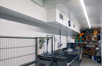 Commercial Kitchens