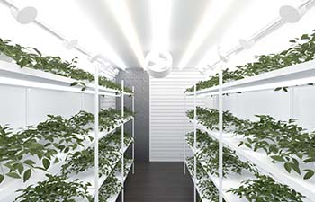 Indoor Grow Rooms