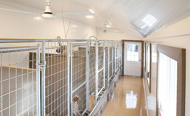 Smart & Safe Storage Solutions for Dog Rooms