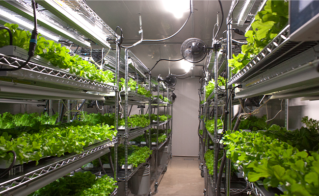 Why PVC Wall Panels Are Better for Grow Rooms