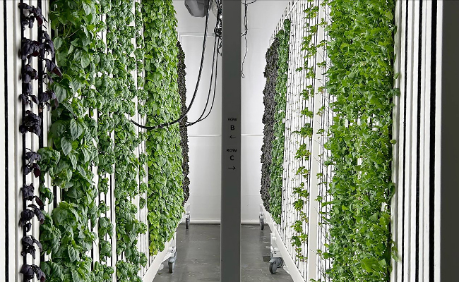 Why PVC Wall Panels Are Better for Grow Rooms