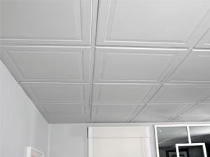 PVC-Ceiling-Tiles.jpg