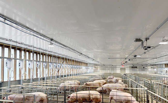 Why Trusscore Wall&CeilingBoard is a Top Choice for Pole Barn Interiors