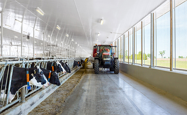 Why Trusscore Wall&CeilingBoard is a Top Choice for Pole Barn Interiors
