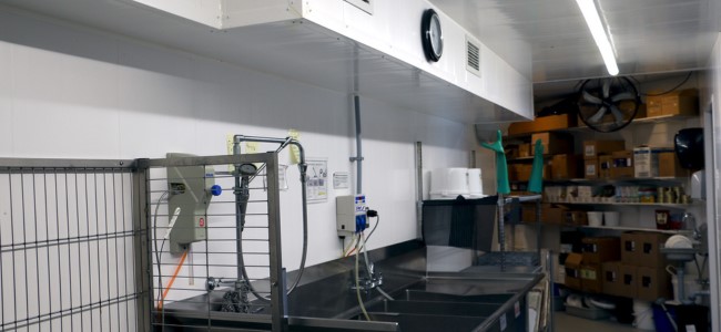 Where Is Trusscore Wall&CeilingBoard Used in the Real World?