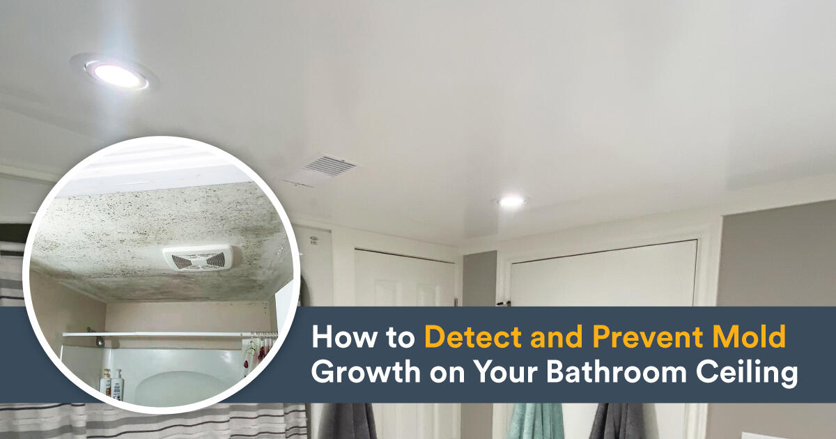 How to Stop Mold Growing on Bathroom Ceiling: Proven Tips
