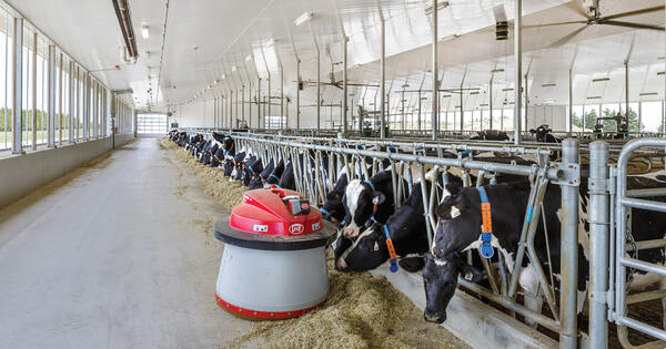 What are the Best Products for Pole Barn Interior Walls and Ceilings?