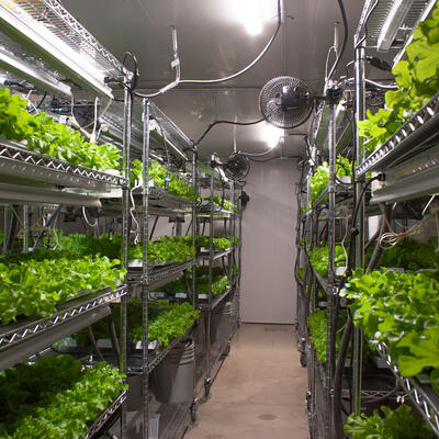 How an Indoor Grow Room Used Trusscore for Hydroponic Innovation