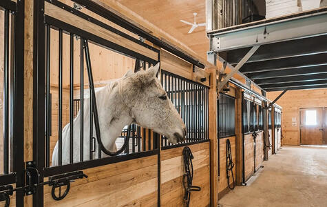 Foxfields Farm Horse Stable