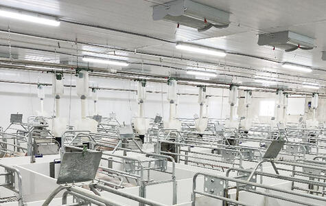 NorLock by Trusscore in an Agricultural Hog Facility