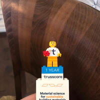 Trusscore Build Your Career Lego Team