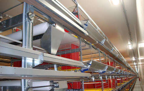 Trusscore wallandceilingboard installed on the walls and ceiling of poultry farm