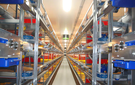 Trusscore wallandceilingboard installed on the walls and ceiling of poultry farm