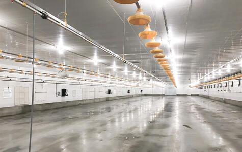 Trusscore wall&ceilingboard in an Agricultural Poultry Facility
