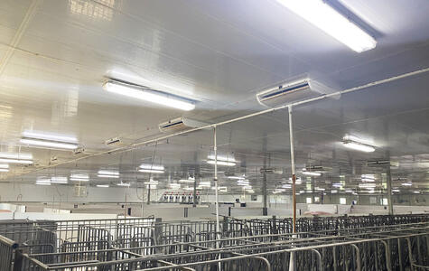 Trusscore Wall&CeilingBoard and NorLock in an Agricultural Hog Facility