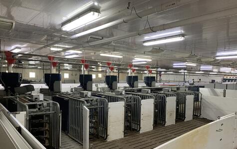Trusscore Wall&CeilingBoard and NorLock in an Agricultural Hog Facility