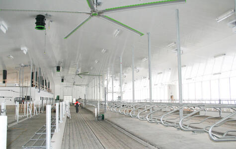 Trusscore white wallandceilingboard installed in a dairy facility