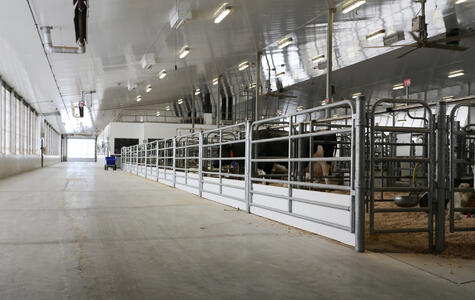 Trusscore Wall&CeilingBoard in a Agricultural Dairy Facility