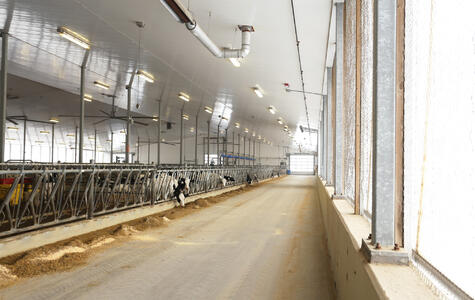 Trusscore Wall&CeilingBoard in a Agricultural Dairy Facility