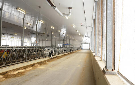 Trusscore white wallandceilingboard installed in a dairy facility