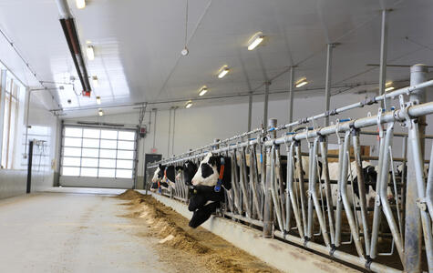 Trusscore Wall&CeilingBoard in a Agricultural Dairy Facility