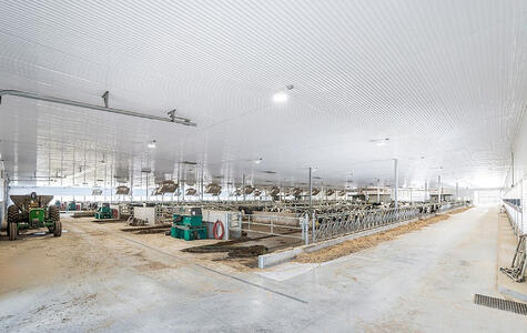 Trusscore Wall&CeilingBoard and RibCore by Trusscore in Dairy Facility