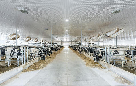 Trusscore Wall&CeilingBoard and RibCore by Trusscore in Dairy Facility