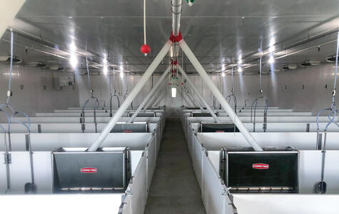 Trusscore Wall&CeilingBoard and NorLock in an Agricultural Hog Facility
