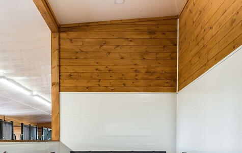 Wall&CeilingBoard in an Agricultural Horse Stable