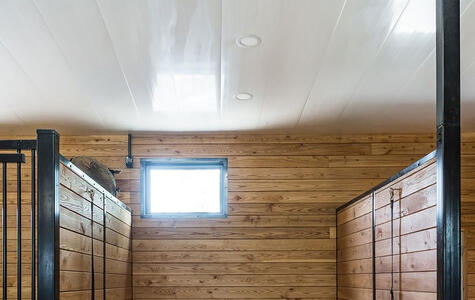 Wall&CeilingBoard in an Agricultural Horse Stable