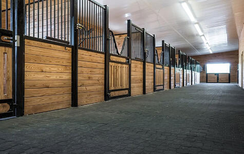 Wall&CeilingBoard in an Agricultural Horse Stable