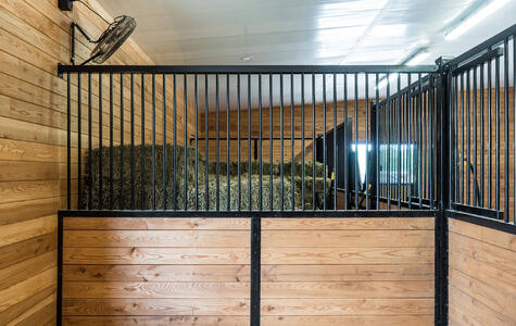 Wall&CeilingBoard in an Agricultural Horse Stable