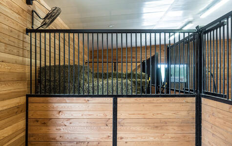 Wall&CeilingBoard in an Agricultural Horse Stable