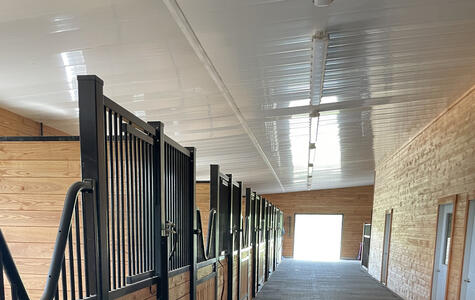 Wall&CeilingBoard in an Agricultural Horse Stable