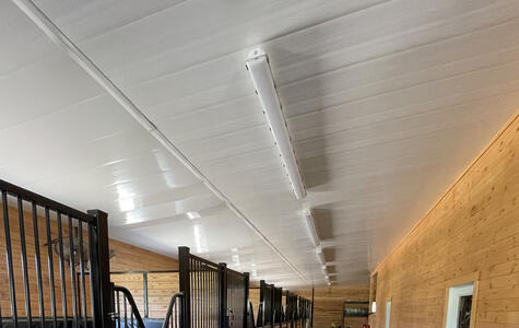 Wall&CeilingBoard in an Agricultural Horse Stable Wall&CeilingBoard in an Agricultural Horse Stable
