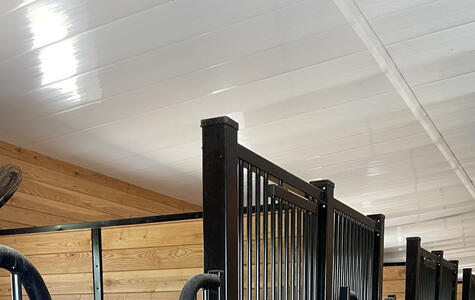 Wall&CeilingBoard in an Agricultural Horse Stable