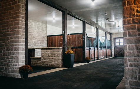 Trusscore Wall&CeilingBoard in an Agricultural Horse Stable